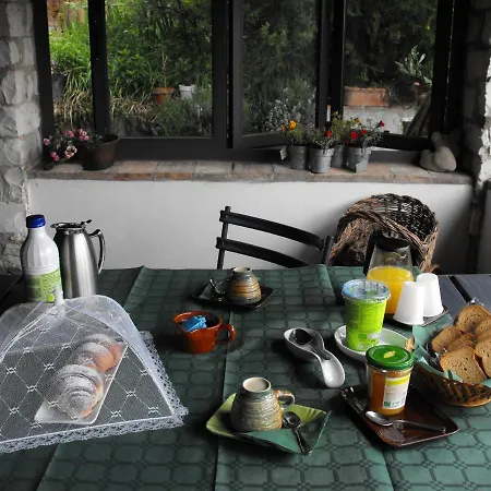 Il Governatore Urbino