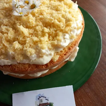 Il Governatore Urbino