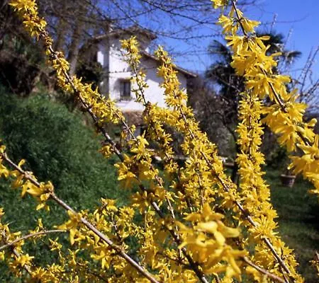 Il Governatore Alojamento de Acomodação e Pequeno-almoço Urbino