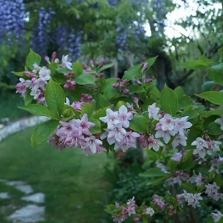 Il Governatore Alojamento de Acomodação e Pequeno-almoço 3*